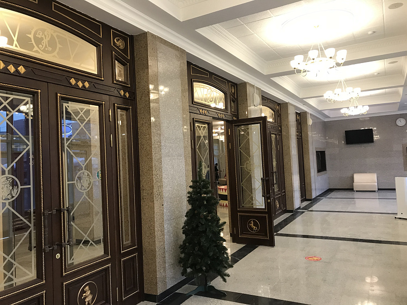 Саратовский государственный цирк имени братьев Никитиных (реконструкция)